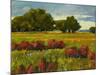 Afternoon Fields 1-Patty Baker-Mounted Art Print