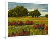 Afternoon Fields 1-Patty Baker-Framed Art Print