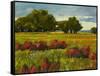 Afternoon Fields 1-Patty Baker-Framed Stretched Canvas