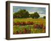 Afternoon Fields 1-Patty Baker-Framed Art Print