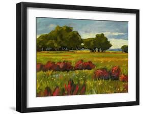 Afternoon Fields 1-Patty Baker-Framed Art Print