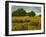 Afternoon Fields 1-Patty Baker-Framed Art Print