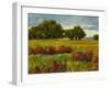 Afternoon Fields 1-Patty Baker-Framed Art Print