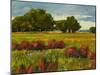 Afternoon Fields 1-Patty Baker-Mounted Art Print