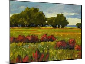 Afternoon Fields 1-Patty Baker-Mounted Art Print