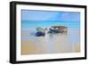 Afternoon Gulls-Craig Trewin Penny-Framed Art Print