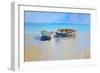 Afternoon Gulls-Craig Trewin Penny-Framed Art Print