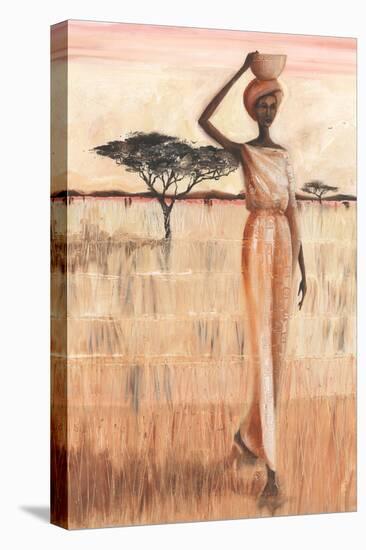 Afternoon Harvest-Julia Hawkins-Stretched Canvas