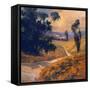 Afternoon II-Stevens Allayn-Framed Stretched Canvas