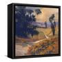 Afternoon II-Allayn Stevens-Framed Stretched Canvas