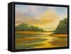 Afternoon II-Nelly Arenas-Framed Stretched Canvas