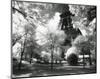 Afternoon in Paris (Eiffel Tower, Park)-null-Mounted Art Print