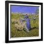 Afternoon in the Alps, 1892-Giovanni Segantini-Framed Giclee Print