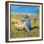 Afternoon in the Alps, 1892-Giovanni Segantini-Framed Giclee Print