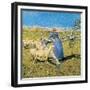 Afternoon in the Alps, 1892-Giovanni Segantini-Framed Giclee Print