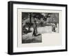 Afternoon in the Park, Toronto and Vicinity, Canada, Nineteenth Century-null-Framed Giclee Print