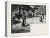 Afternoon in the Park, Toronto and Vicinity, Canada, Nineteenth Century-null-Stretched Canvas