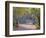 Afternoon in the Park-Hippolyte Petitjean-Framed Giclee Print