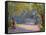 Afternoon in the Park-Hippolyte Petitjean-Framed Stretched Canvas