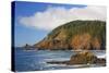 Afternoon Light along Short Beach and Indian Beach, Ecola State Park, Oregon Coast-Craig Tuttle-Stretched Canvas