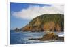 Afternoon Light along Short Beach and Indian Beach, Ecola State Park, Oregon Coast-Craig Tuttle-Framed Photographic Print