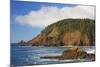 Afternoon Light along Short Beach and Indian Beach, Ecola State Park, Oregon Coast-Craig Tuttle-Mounted Photographic Print