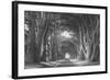 Afternoon Light Cypress Tree Road Point Reyes-Vincent James-Framed Photographic Print