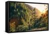 Afternoon Light Eagle Creek Trail - Columbia River Gorge Oregon-Vincent James-Framed Stretched Canvas