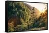 Afternoon Light Eagle Creek Trail - Columbia River Gorge Oregon-Vincent James-Framed Stretched Canvas