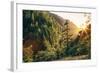 Afternoon Light Eagle Creek Trail - Columbia River Gorge Oregon-Vincent James-Framed Photographic Print