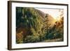 Afternoon Light Eagle Creek Trail - Columbia River Gorge Oregon-Vincent James-Framed Photographic Print