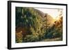 Afternoon Light Eagle Creek Trail - Columbia River Gorge Oregon-Vincent James-Framed Photographic Print