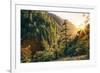 Afternoon Light Eagle Creek Trail - Columbia River Gorge Oregon-Vincent James-Framed Photographic Print