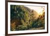 Afternoon Light Eagle Creek Trail - Columbia River Gorge Oregon-Vincent James-Framed Photographic Print