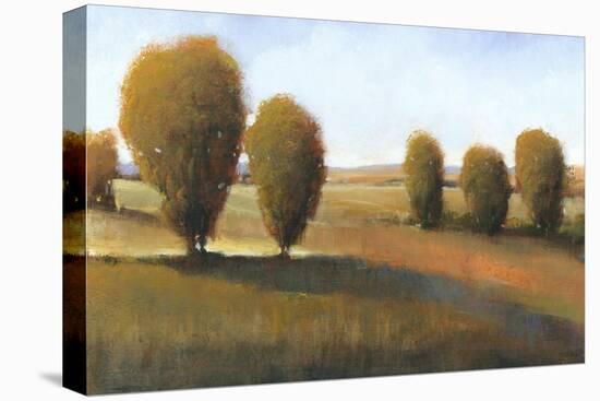 Afternoon Light I-Tim O'toole-Stretched Canvas