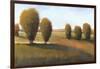 Afternoon Light I-Tim O'toole-Framed Art Print