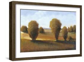 Afternoon Light II-Tim O'toole-Framed Art Print