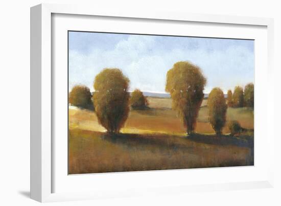 Afternoon Light II-Tim O'toole-Framed Art Print