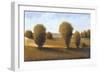 Afternoon Light II-Tim O'toole-Framed Art Print