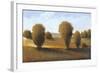 Afternoon Light II-Tim O'toole-Framed Art Print