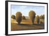 Afternoon Light II-Tim O'toole-Framed Art Print