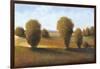 Afternoon Light II-Tim O'toole-Framed Art Print