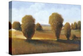 Afternoon Light II-Tim O'toole-Stretched Canvas