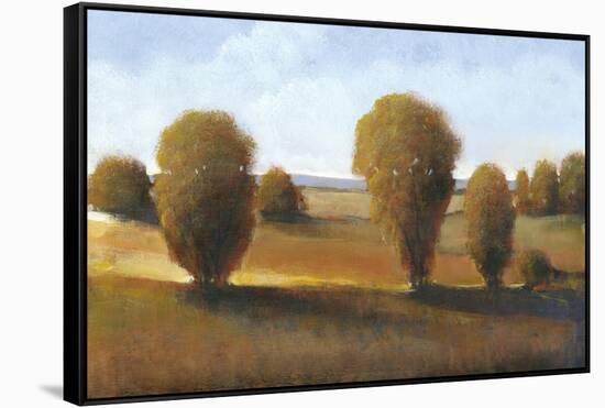 Afternoon Light II-Tim O'toole-Framed Stretched Canvas