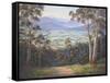 Afternoon Light - Mt. Beauty-John Bradley-Framed Stretched Canvas