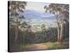 Afternoon Light - Mt. Beauty-John Bradley-Stretched Canvas