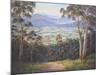 Afternoon Light - Mt. Beauty-John Bradley-Mounted Giclee Print