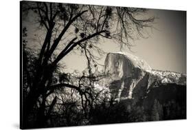 Afternoon light on Half Dome in winter, Yosemite National Park, California, USA-Russ Bishop-Stretched Canvas