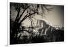 Afternoon light on Half Dome in winter, Yosemite National Park, California, USA-Russ Bishop-Framed Photographic Print