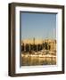 Afternoon Light on Harbour Yachts, and 1st Century Roman Amphitheatre, Pula, Istria Coast, Croatia-Christian Kober-Framed Photographic Print